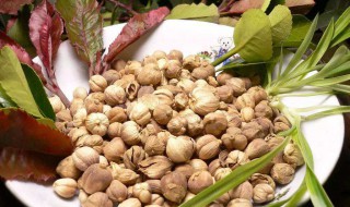 炒青皮的功效与作用 炒青皮的功效与作用的功能与主治