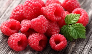 树莓的营养价值与禁忌 树莓的营养价值