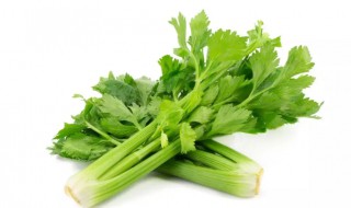 芹菜有什么营养成分 芹菜里面有什么营养成分