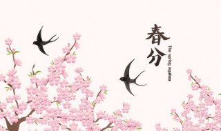 2022春分几时几分几秒 2020春分几时几分几秒