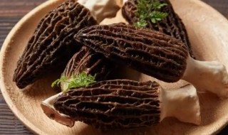 羊肚菌的营养价值 种植羊肚菌的营养价值
