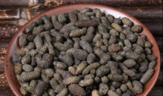 五灵脂的营养价值 五灵脂的药用价值