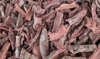 木槿皮的营养价值（木槿皮的功效与作用点）