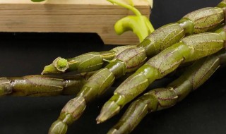 石斛的营养价值(石斛的营养价值是什么)