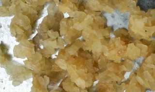 雪蛤油的功效与作用（雪蛤油的功效与作用及营养）