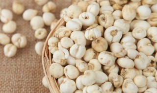 平贝母的药用价值 平贝母的营养价值