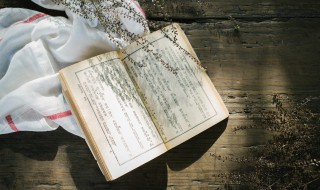 骆驼祥子读书笔记300字（骆驼祥子读书笔记300字第一章）
