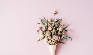 不可不知的送花小技巧 送花小常识