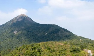 梅沙尖海拔多少米 梅沙尖海拔多少米,一般登多久