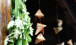 插艾草风俗的由来和意义 插艾草风俗的由来和意义英文介绍