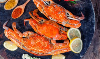 螃蟹的天敌是什么动物（大闸蟹的天敌是什么动物）