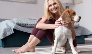 胆大包天是指什么动物 胆大包天指的是什么动物