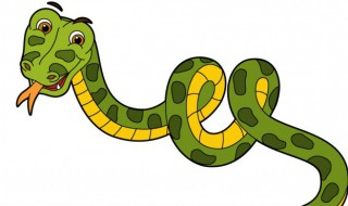 马上要考试梦见蛇预示着什么 快要考试了梦见蛇