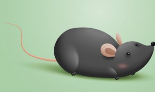 梦到驱赶老鼠预示着什么(梦到驱赶老鼠预示着什么一黑一灰)