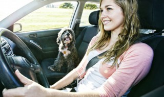 汽车电瓶充电多长时间充满 一般汽车电瓶充电多长时间能充满