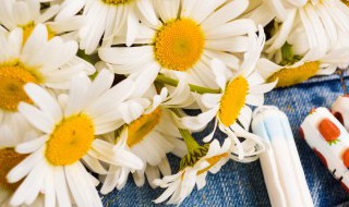 菊花的花语和寓意和象征 菊花的花语及寓意