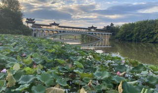 武宁有什么景点(武宁有什么旅游景点)