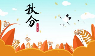 白露之后是哪个节气（白露之后是啥节气）