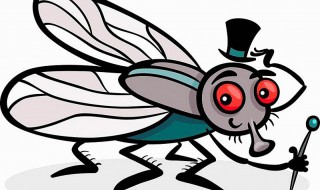 果蝇的寿命能活多长时间 果蝇能存活多久