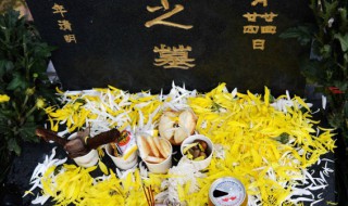 踏青是哪个节气的风俗 什么节气踏青