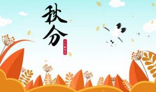 秋分节气有什么风俗（秋分节气有什么风俗活动）