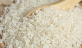 东北什么特产适合送人 东北特产有哪些可以当礼物的