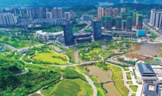 宜宾有什么好吃的特产（宜宾有什么好吃的特产零食可以带）