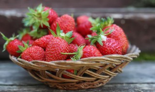 草莓的生长过程(草莓的生长过程画画)