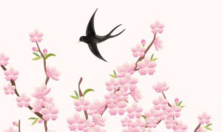 春分节气的饮食特点是什么（春分节气的饮食文化）