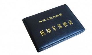 d驾照能开什么车（d驾照能开什么车型）