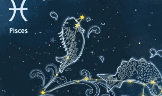 四月十二是什么星座（2000年农历四月十二是什么星座）