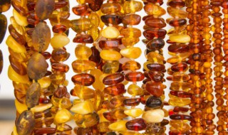 琥珀形成的过程 推测是什么意思?联系琥珀形成的过程