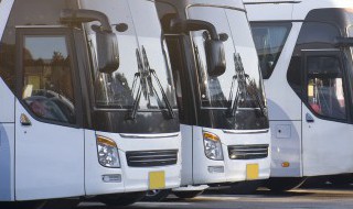 a2驾照可以开什么车(a2驾照可以开什么车型图片)