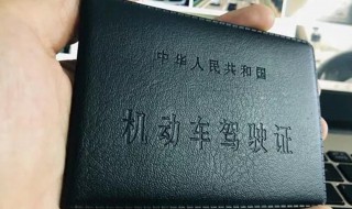 b1驾照可以开什么车型（b1驾照可以开什么车型的车）