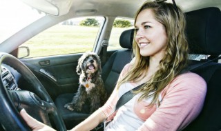 夏天停车窗户要开一条缝吗 夏天车子窗户开一条缝