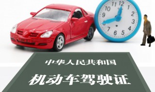 驾照上的照片有什么要求（驾照上面的照片有什么要求）