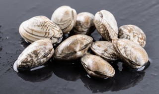 血蛤能冷冻保存吗 血蛤冷冻过能吃吗