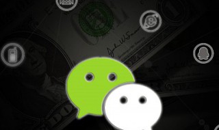 唯美微信名字女生版（个性微信名字女唯美）