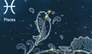 3.19是什么星座（农历3.19是什么星座）