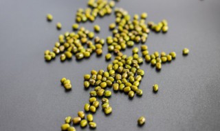 夏天绿豆汤可以天天喝吗（夏天可以常喝绿豆汤吗）