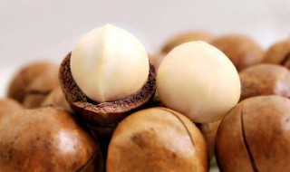 夏威夷果生的能吃吗 夏威夷果 生吃