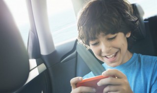 宝可梦去皮什么意思（宝可梦去皮有多少精灵）