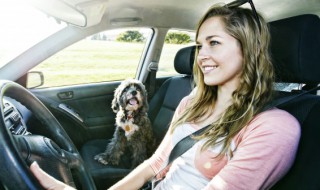 冠道热车的正确方法是什么 冠道制热怎么开