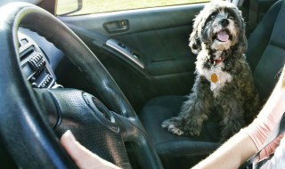 汽车积碳是怎么形成的（汽车积碳是怎么形成的?）