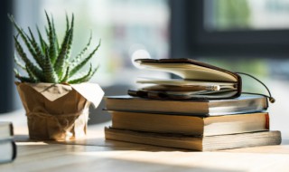 描写自然景观的名句（描写自然景色的名句）