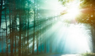 大自然的自然现象有哪些 大自然的自然现象有哪些二年级