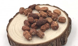 红豆蔻的功效与作用（中药红豆蔻的功效与作用）