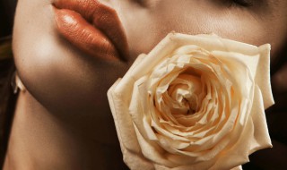 白玫瑰寓意代表什么意思 白玫瑰代表的寓意