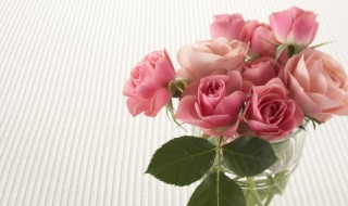 三只玫瑰代表什么意思（三朵玫瑰花代表什么意思）