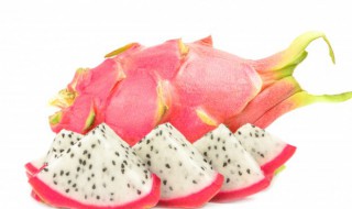 火龙果怎么修剪才结果 火龙果怎样修剪才结果